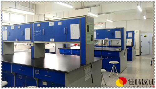 北京含香蕉椰子乳饮料配方技术研发与转让服务