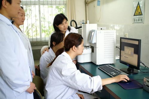 50余人的工艺攻关队 从技术攻坚到成果转化之路